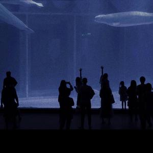 国产精品午夜无码AV体验区
