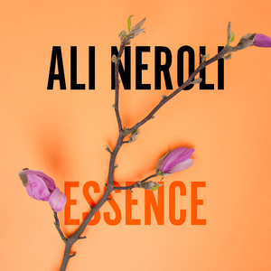 国产精品午夜无码AV体验区
