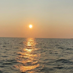 国产精品午夜无码AV体验区
