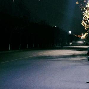 国产精品午夜无码AV体验区
