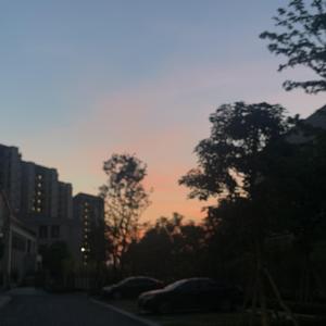 国产精品午夜无码AV体验区
