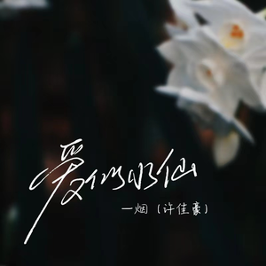 国产精品午夜无码AV体验区
