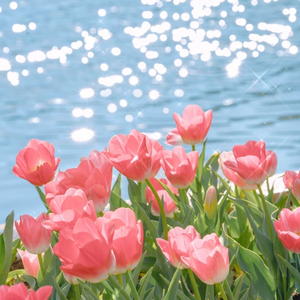 国产精品午夜无码AV体验区
